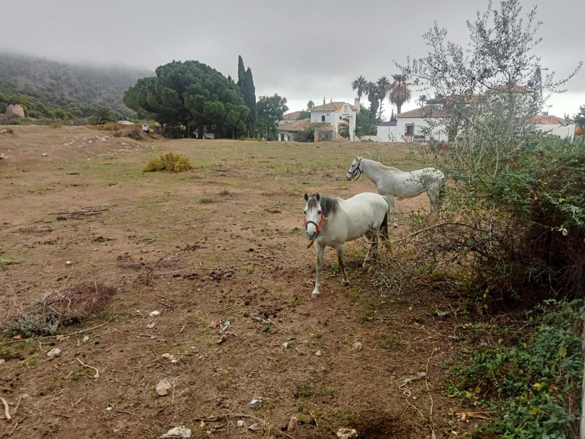 Ferienwohnung Casa Blanquita Mijas Exterior foto